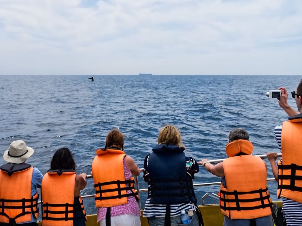 A whale's tail above the ocean surface